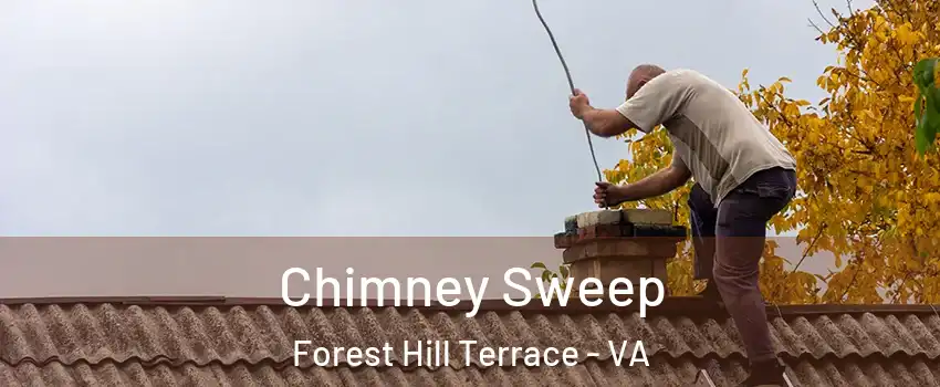 Chimney Sweep Forest Hill Terrace - VA