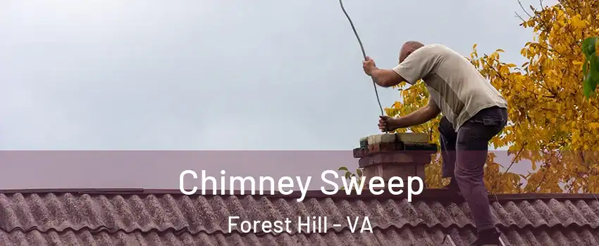 Chimney Sweep Forest Hill - VA