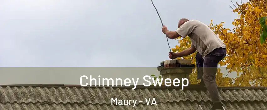 Chimney Sweep Maury - VA