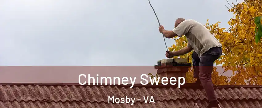 Chimney Sweep Mosby - VA