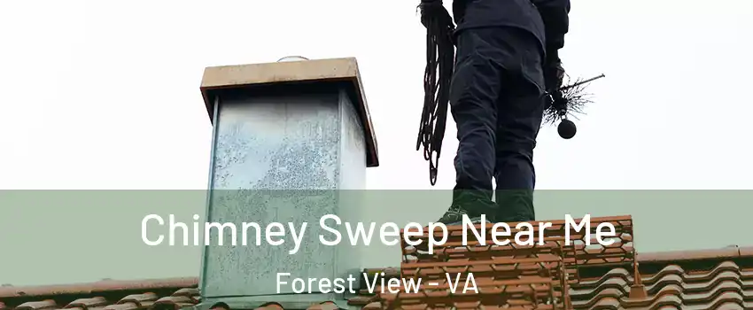 Chimney Sweep Near Me Forest View - VA