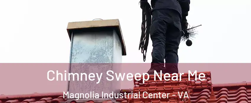 Chimney Sweep Near Me Magnolia Industrial Center - VA