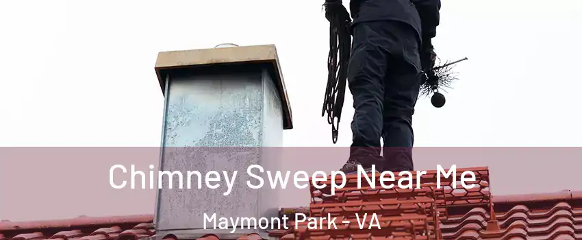 Chimney Sweep Near Me Maymont Park - VA