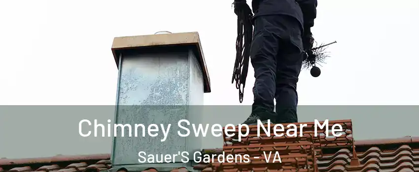 Chimney Sweep Near Me Sauer'S Gardens - VA