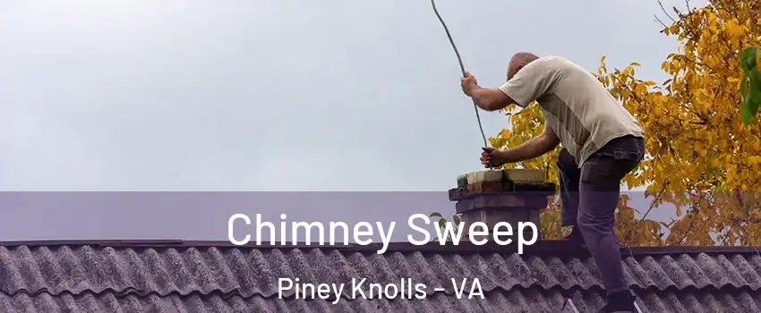 Chimney Sweep Piney Knolls - VA