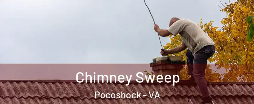 Chimney Sweep Pocoshock - VA