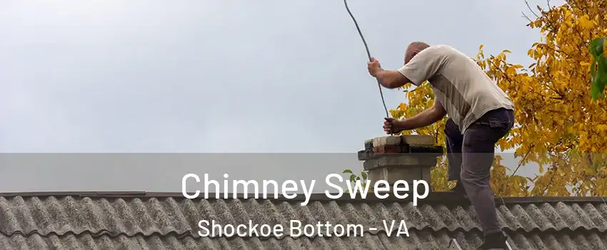 Chimney Sweep Shockoe Bottom - VA