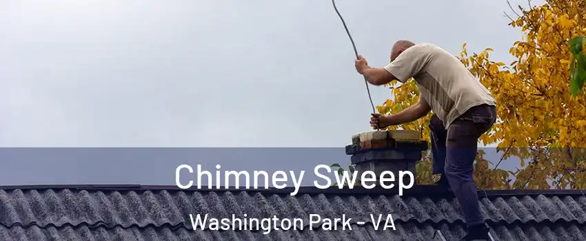 Chimney Sweep Washington Park - VA