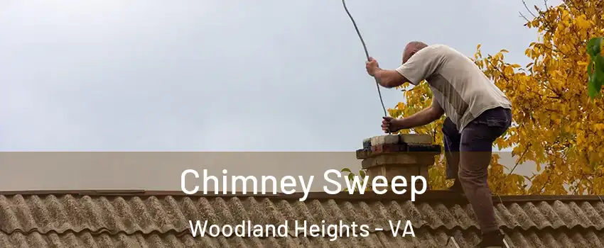 Chimney Sweep Woodland Heights - VA