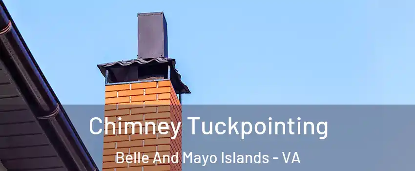 Chimney Tuckpointing Belle And Mayo Islands - VA
