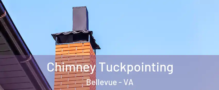 Chimney Tuckpointing Bellevue - VA