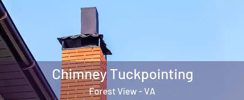 Chimney Tuckpointing Forest View - VA