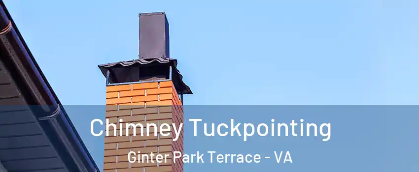 Chimney Tuckpointing Ginter Park Terrace - VA