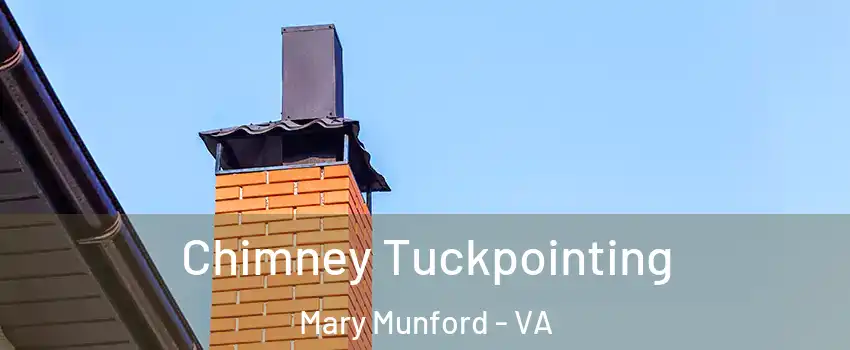 Chimney Tuckpointing Mary Munford - VA