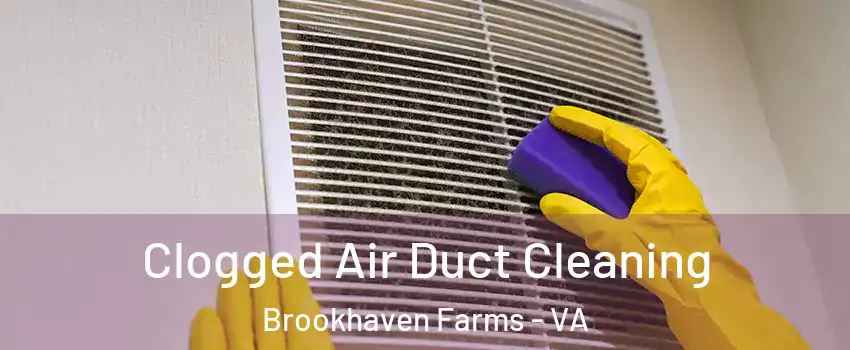 Clogged Air Duct Cleaning Brookhaven Farms - VA