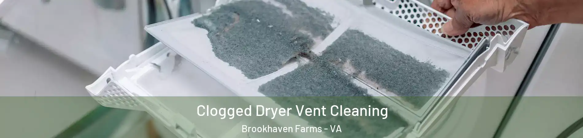 Clogged Dryer Vent Cleaning Brookhaven Farms - VA