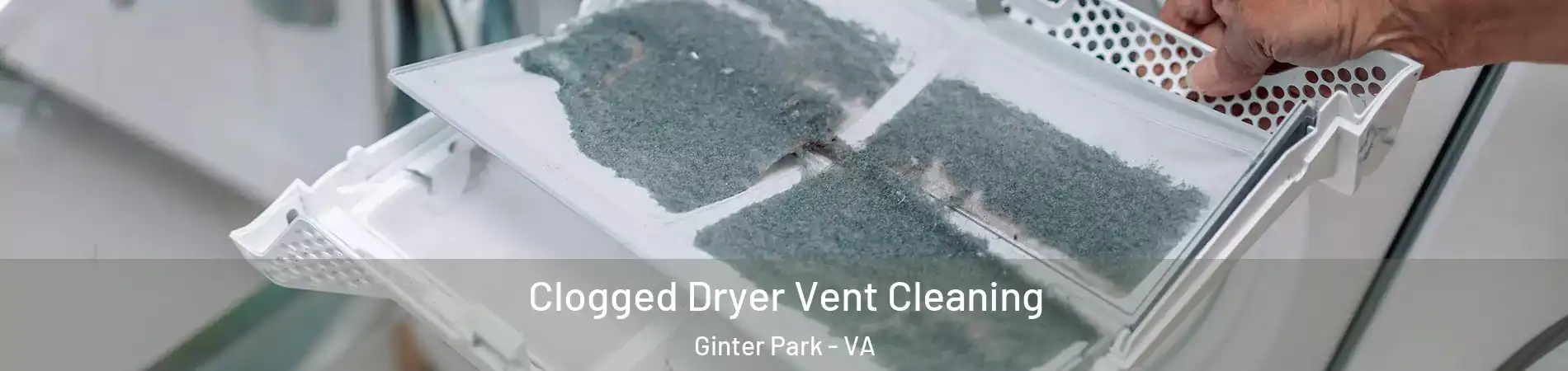 Clogged Dryer Vent Cleaning Ginter Park - VA