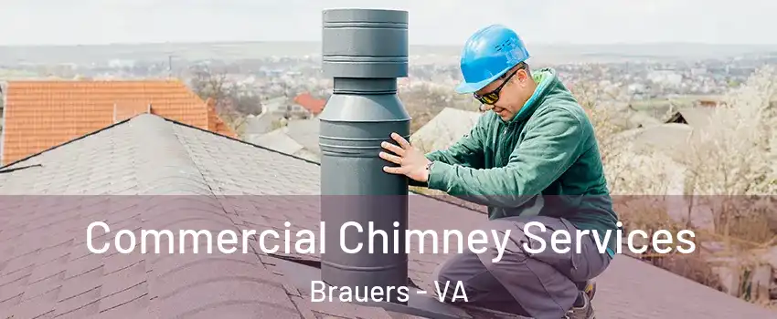 Commercial Chimney Services Brauers - VA