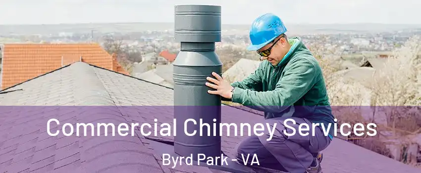 Commercial Chimney Services Byrd Park - VA