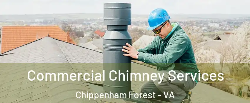 Commercial Chimney Services Chippenham Forest - VA