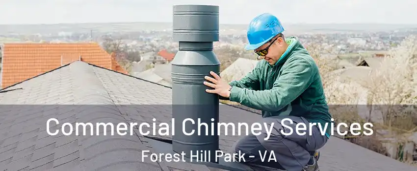 Commercial Chimney Services Forest Hill Park - VA