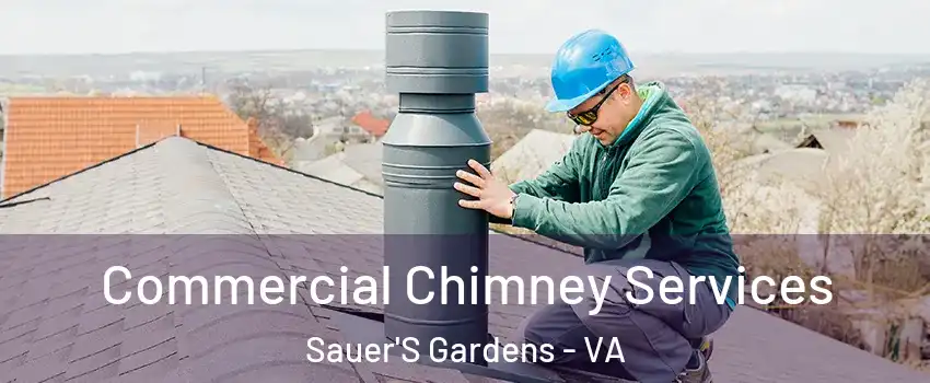 Commercial Chimney Services Sauer'S Gardens - VA