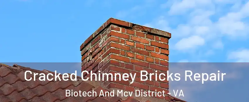 Cracked Chimney Bricks Repair Biotech And Mcv District - VA