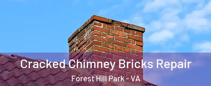 Cracked Chimney Bricks Repair Forest Hill Park - VA