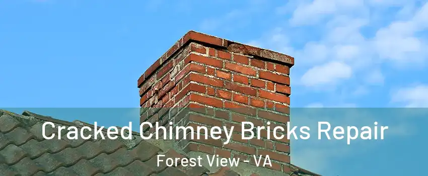 Cracked Chimney Bricks Repair Forest View - VA