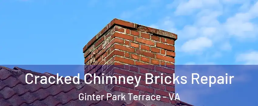 Cracked Chimney Bricks Repair Ginter Park Terrace - VA