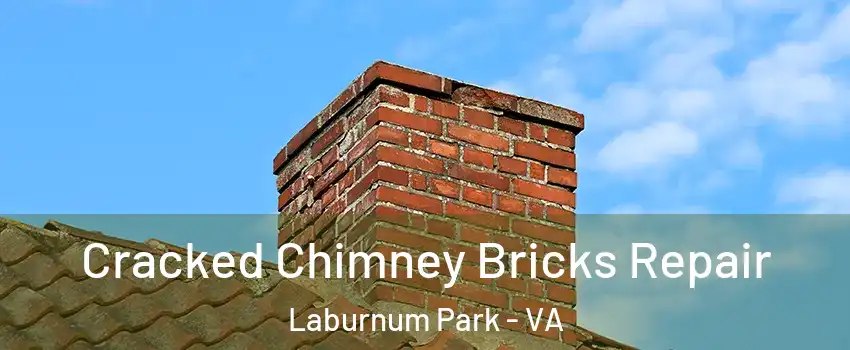Cracked Chimney Bricks Repair Laburnum Park - VA