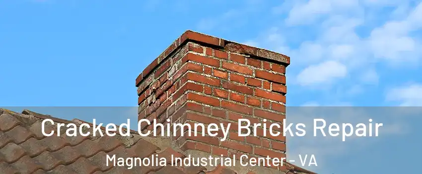 Cracked Chimney Bricks Repair Magnolia Industrial Center - VA
