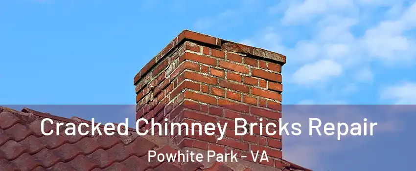 Cracked Chimney Bricks Repair Powhite Park - VA
