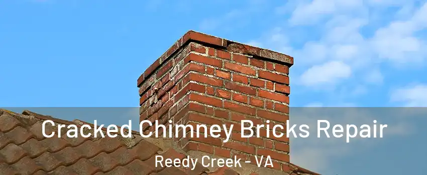 Cracked Chimney Bricks Repair Reedy Creek - VA