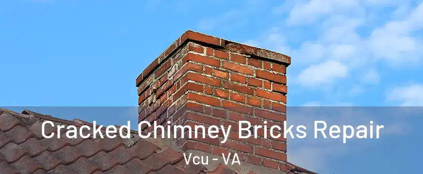 Cracked Chimney Bricks Repair Vcu - VA