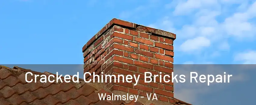 Cracked Chimney Bricks Repair Walmsley - VA