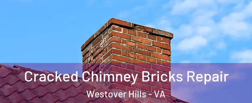 Cracked Chimney Bricks Repair Westover Hills - VA