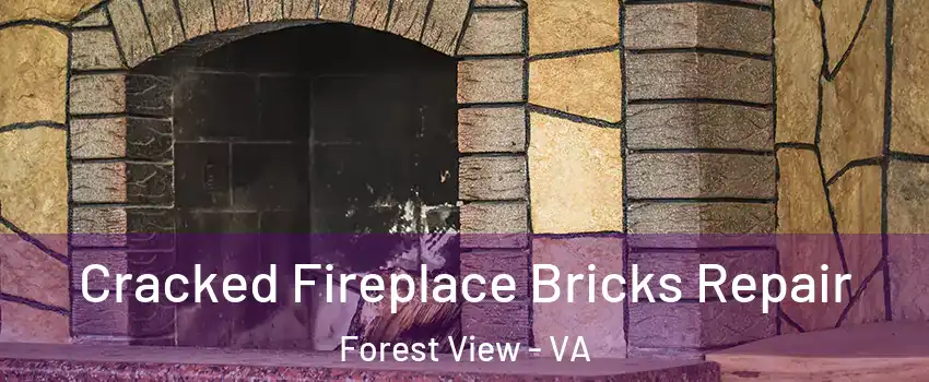 Cracked Fireplace Bricks Repair Forest View - VA