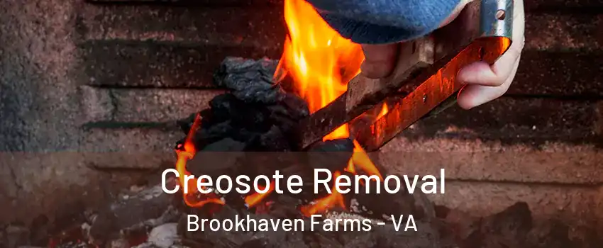 Creosote Removal Brookhaven Farms - VA
