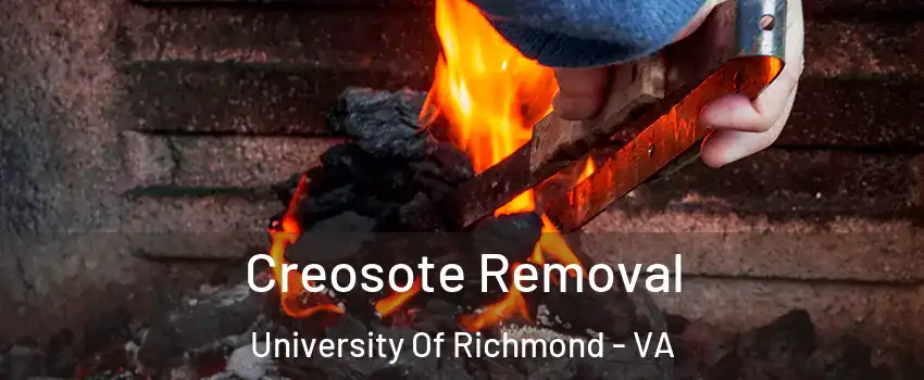 Creosote Removal University Of Richmond - VA