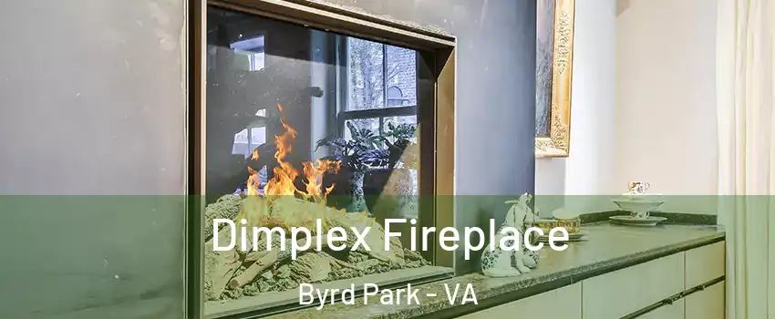 Dimplex Fireplace Byrd Park - VA