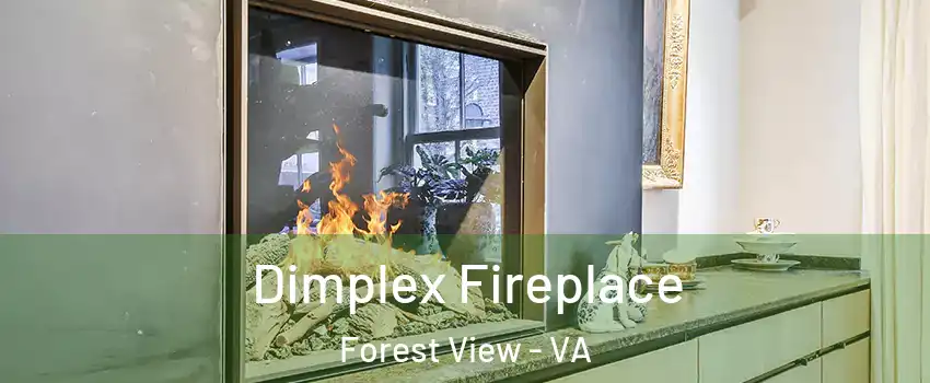 Dimplex Fireplace Forest View - VA