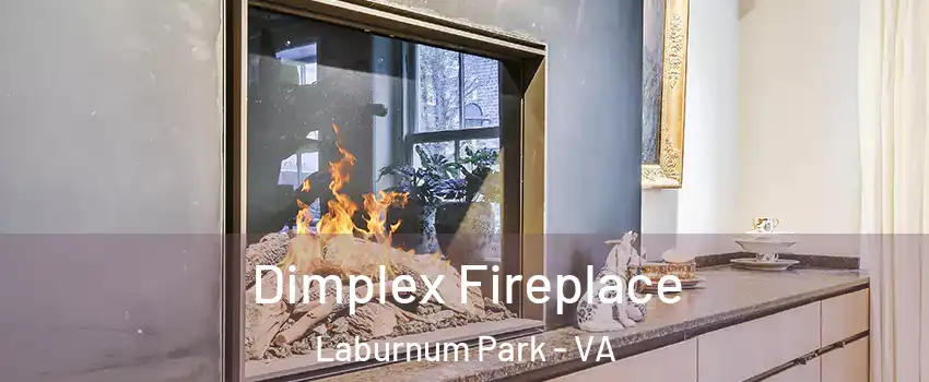 Dimplex Fireplace Laburnum Park - VA