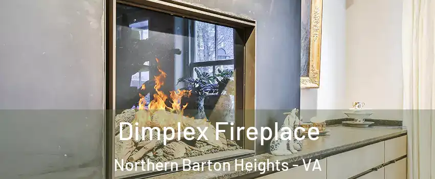 Dimplex Fireplace Northern Barton Heights - VA