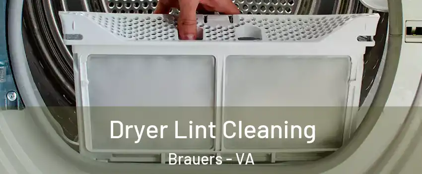 Dryer Lint Cleaning Brauers - VA