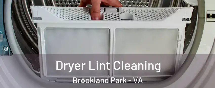 Dryer Lint Cleaning Brookland Park - VA