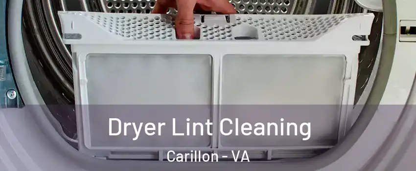 Dryer Lint Cleaning Carillon - VA