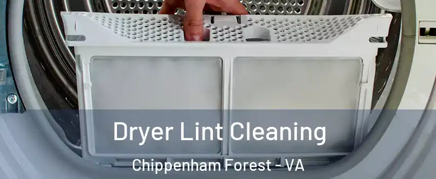 Dryer Lint Cleaning Chippenham Forest - VA