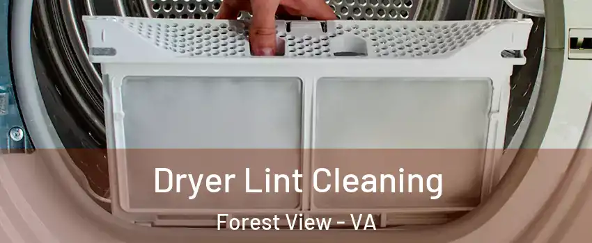 Dryer Lint Cleaning Forest View - VA