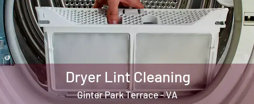Dryer Lint Cleaning Ginter Park Terrace - VA